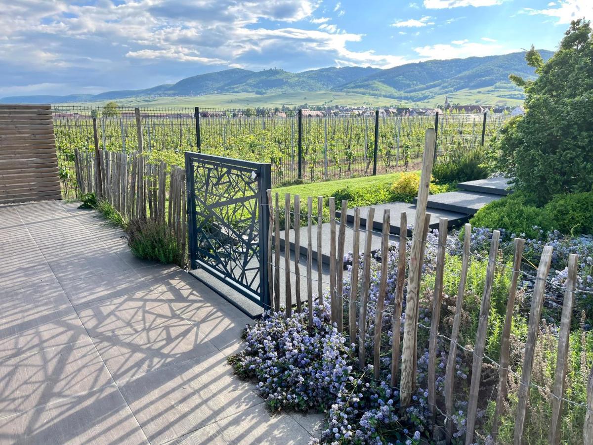 Gite Proche Colmar Vignoble Wettolsheim Dış mekan fotoğraf