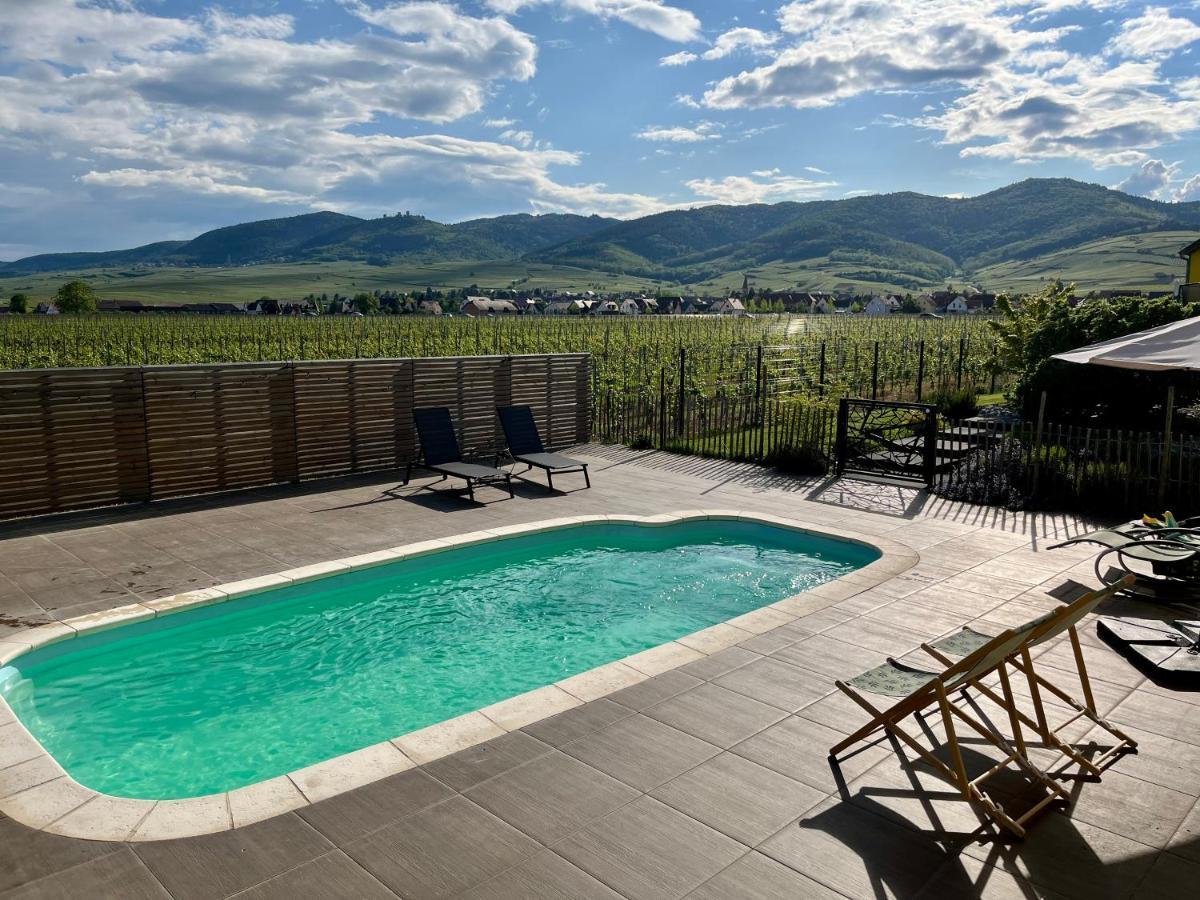 Gite Proche Colmar Vignoble Wettolsheim Dış mekan fotoğraf